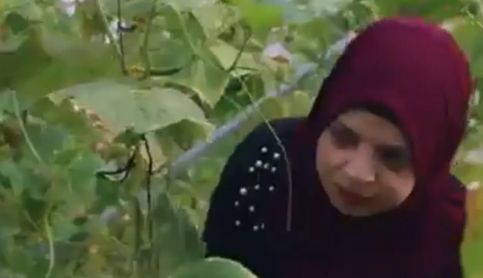 صورة توضيحية لمقال تدخلات جمعية نجوم الأمل لتمكين النساء ذوات الإعاقة ضمن برنامج التمكين الاقتصادي في فلسطين