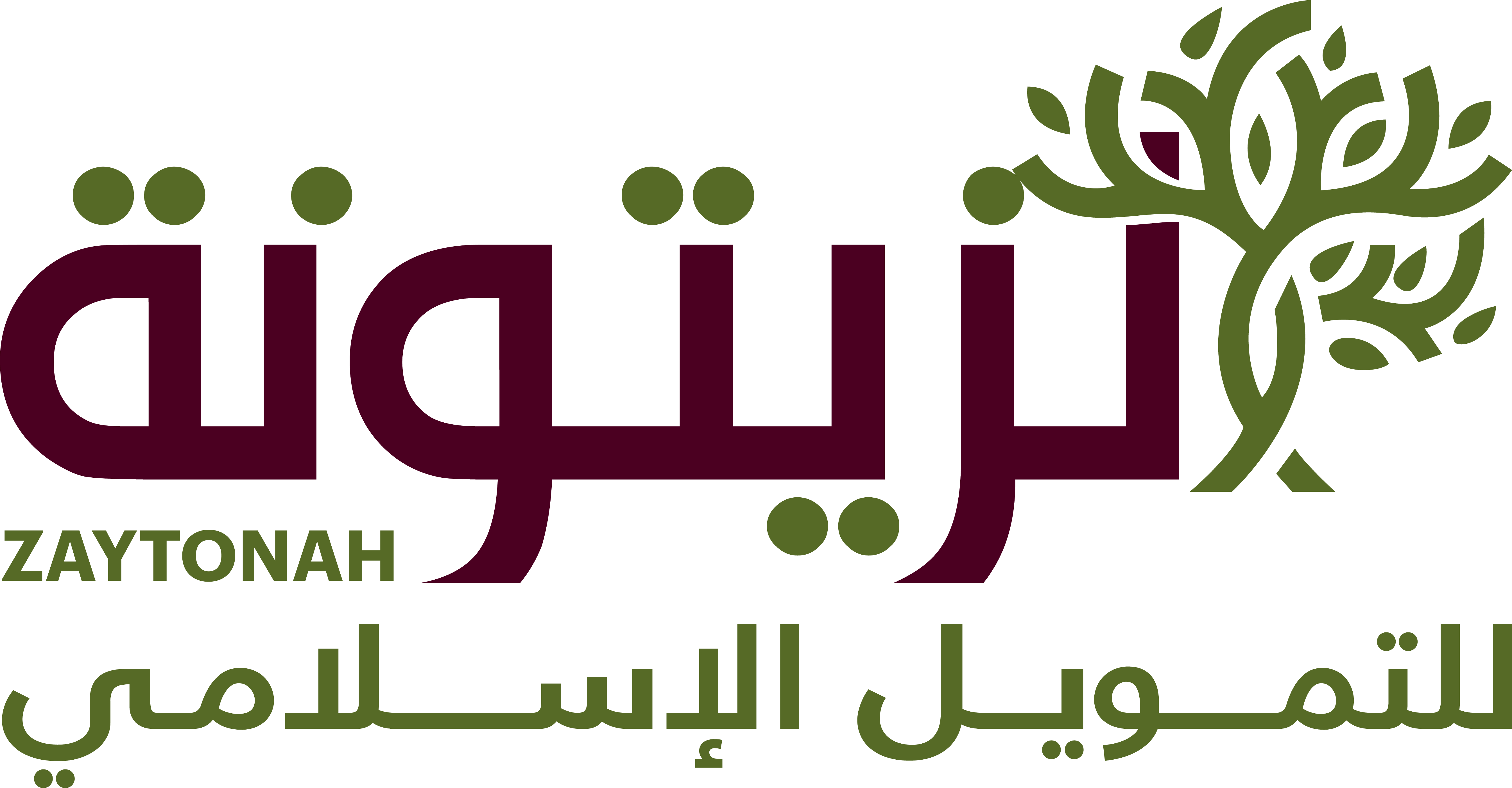 شعار شركة الزيتونة للتمويل الإسلامي